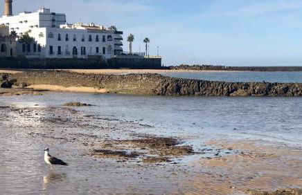 Apartamento DUPLEX CRUZ DEL MAR - Foto 4