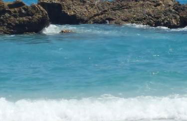 Katerina's House - Foto 16