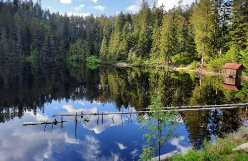 Ferienwohnung Schwarzwaldblick - Photo 31