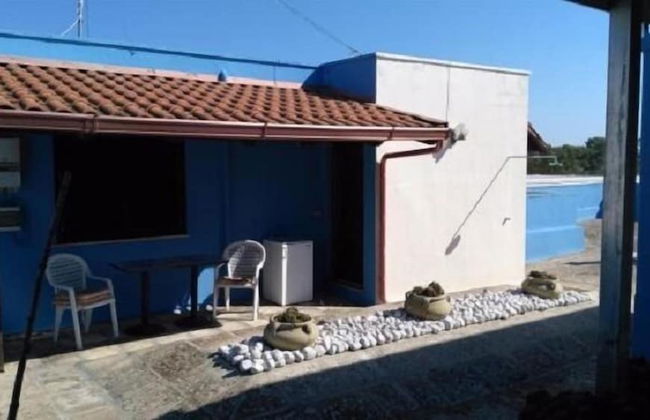 Gecko's House - Foto 24