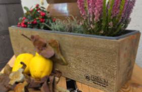 Ferien im Gartenrausch - Gönn Dir eine Auszeit im Herzen von Wörlitz - Foto 20