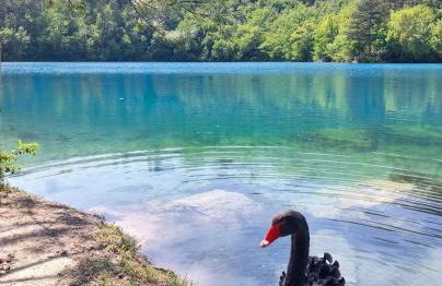 Agriturismo Roccamaia - Foto 29