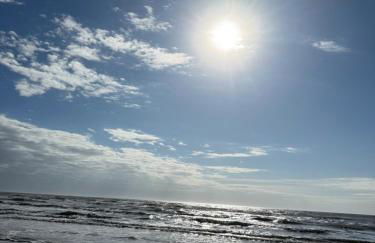 The Coastal Crab - Foto 55