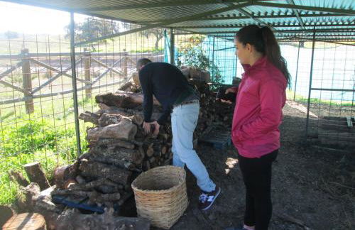 Los Chozos de la Roca - Foto 59