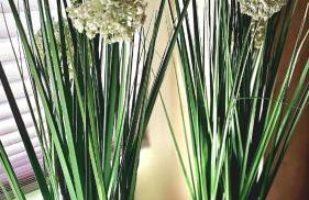 Modern trifft Antik - Foto 20