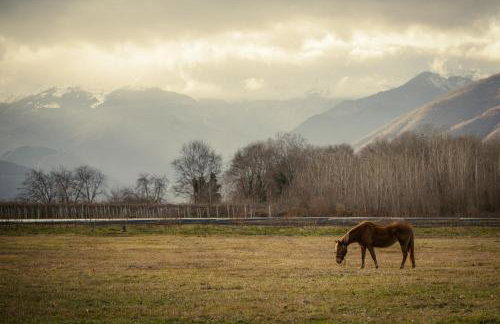 Dimitra 's house - Photo 14