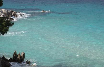 Spacious Villa close to an amazing Sithonia beach - Foto 50