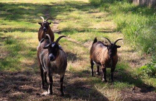 Château Côte de Nacre - Photo 24