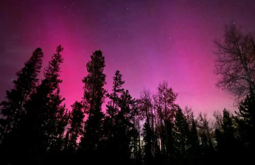 Wintersong - Foto 34