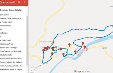 Garça-Real - Foto 9