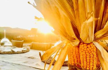 Casale Viridi - nel fresco delle colline Umbre - Foto 75