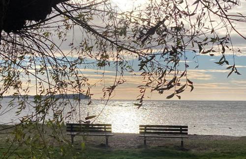 Ich kenne ein Haus am Meer - Foto 43