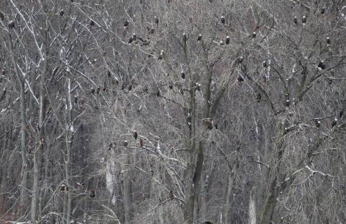 Finn's Hideaway -Modern family river home - Foto 34