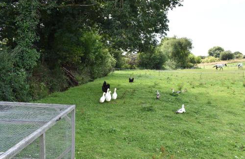 Fair Maid - Photo 27