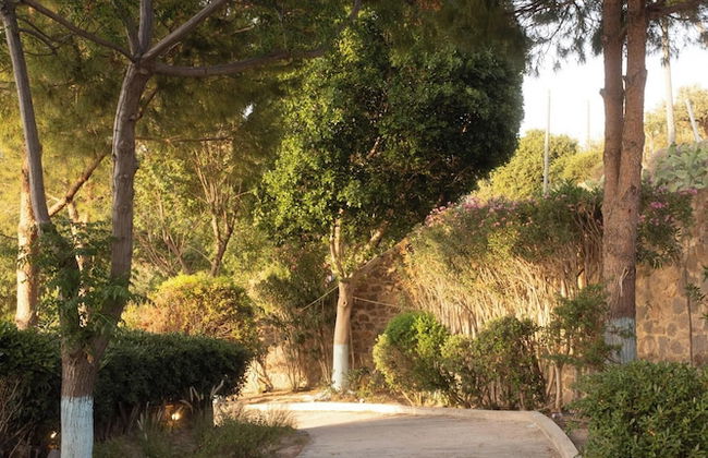 Terra Cassa Private Villa - Photo 78