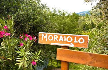 Botte Toscana in Oliveta - Idromassaggio Privato - Vista Mozzafiato - Foto 51