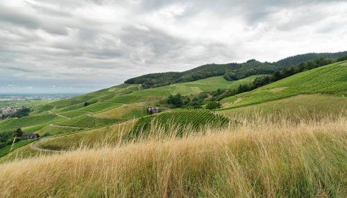 Ferienwohnung Hörth - Foto 3