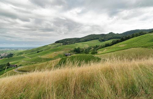 Ferienwohnung Hörth - Foto 3