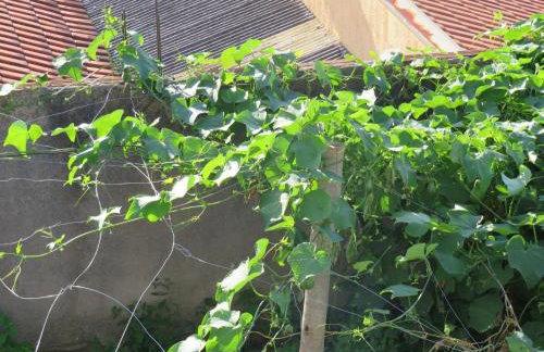 Casa Paraíso com área Goumet Caipira - Foto 52
