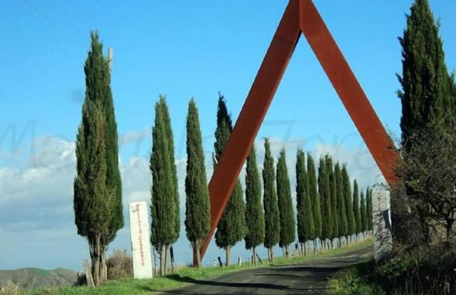 Fattoria Lischeto - Foto 38