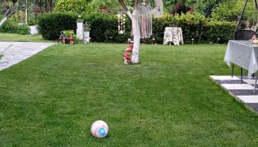 DIANA'S HOUSE - Foto 4