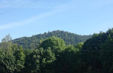 Sielankowy Domek - Foto 15