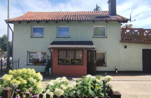 Green Hous agroturystyka - Photo 18