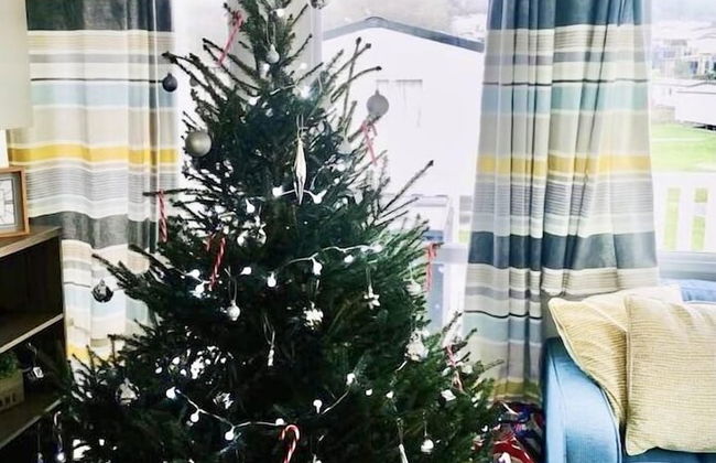 Captivating 2-bed 2021 Caravan in Isle of Wight - Foto 8