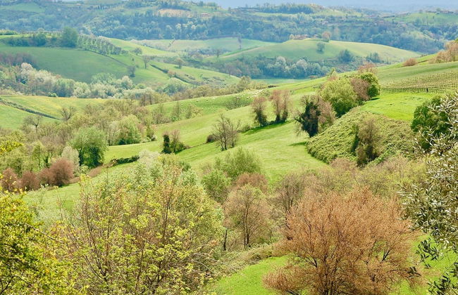 Villa in Lazio With Pool and Vineyards - Foto 28