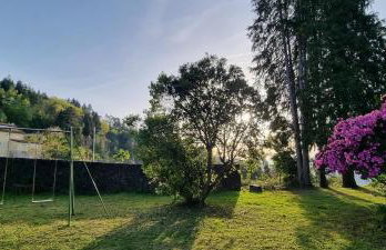 Moradia no Gerês - O Africanista - Foto 23