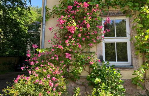 Gästewohnung am Museum - Foto 21