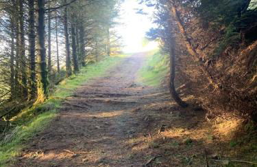 Half Pint Cottage - Foto 7