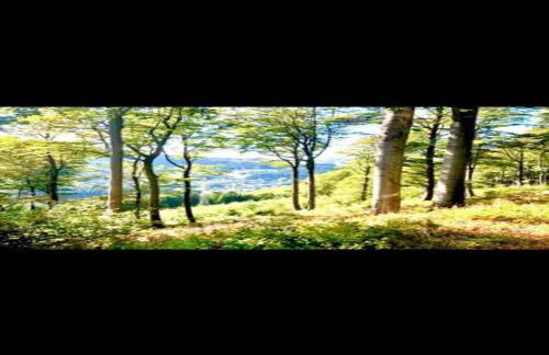 Apartment with private terrace in Velmede - Foto 39