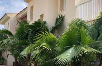 La Esperanza - Foto 12