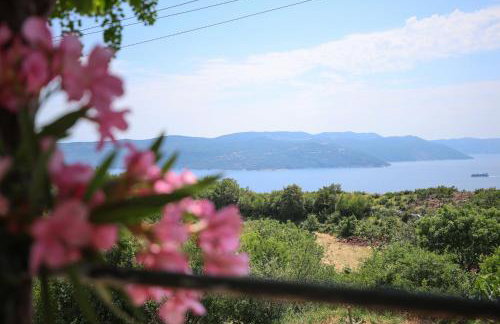 Apartman Fonovici - Foto 17