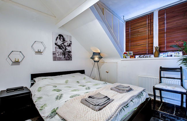 Entire Artistic Open-plan Top Floor Apartment - Foto 2