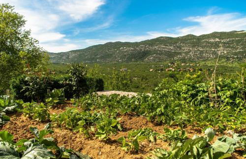 Holiday Home Godinj - Foto 48