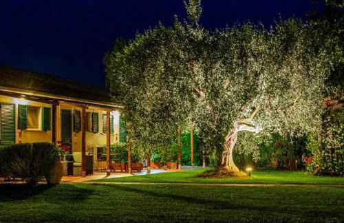 Ghiaccio Bosco - Foto 9