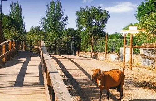 CASAS NAS TERMAS - Foto 33