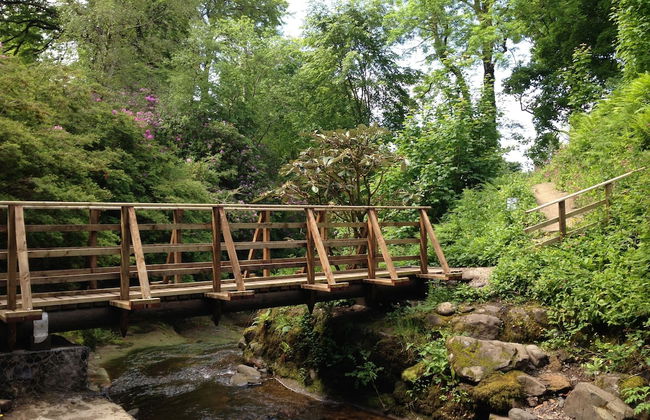 Charming Yurt in Kelburn Estate Near Largs - Photo 14