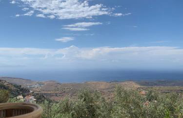 Cycladic Villa ERoza - Foto 3