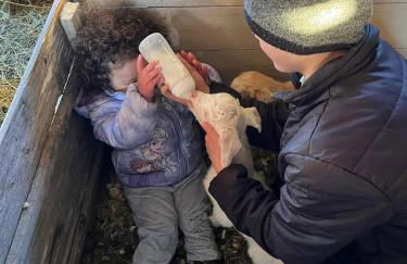 Amish Country Stay w/ Buggy Ride - Foto 34