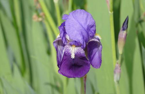 Gîte Sourdeval - Foto 6