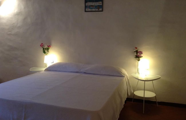 Vellutini Number One - Foto 9