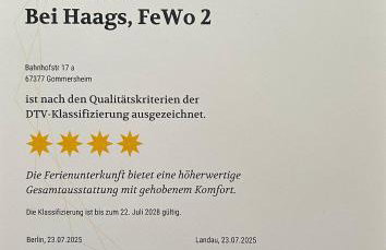 Bei Haags - Foto 67