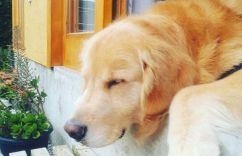 Morada Guarda Explorer 01 - Photo 13