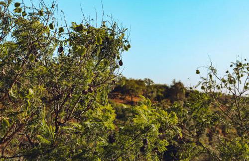 CASA AMOR JACARANDA - Ocean View Modern Vila - Foto 44