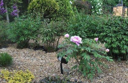 DOMEK NA BASZCIE klimatyzowany - Foto 25