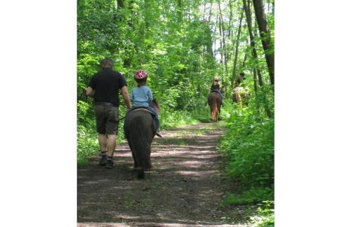 Schneeweischen, coach house by the pond - Foto 20