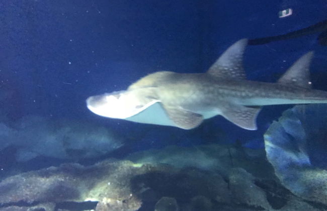 StayCentral - Spacious Seaviews - Foto 14